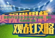 世界杯下注方法-世界杯下注策略，理性与激情的平衡