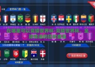 在哪里可以竞猜世界杯-竞猜世界杯，全球球迷的狂欢盛宴