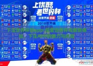 下注世界杯的app-探索世界杯观赛新体验，下注APP的魅力与风险