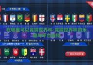在哪里可以竞猜世界杯-竞猜世界杯的乐趣与平台选择