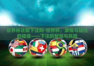 世界杯还能下注吗-世界杯，激情与理性的碰撞——下注的智慧与风险