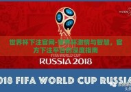 世界杯下注官网-世界杯激情与智慧，官方下注平台的深度指南