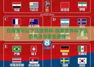 在哪里可以下注世界杯-探索世界杯下注的合法与安全途径
