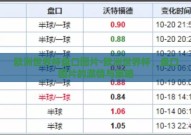 欧洲世界杯盘口图片-欧洲世界杯，盘口图片的激情与策略