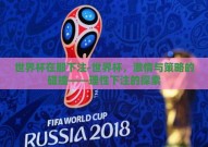 世界杯在那下注-世界杯，激情与策略的碰撞——理性下注的探索