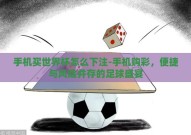 手机买世界杯怎么下注-手机购彩，便捷与风险并存的足球盛宴