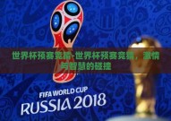 世界杯预赛竞猜-世界杯预赛竞猜，激情与智慧的碰撞
