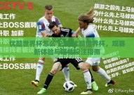 优酷世界杯怎么下注-优酷世界杯，观赛新体验与理性投注指南