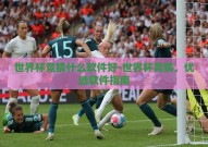 世界杯竞猜什么软件好-世界杯竞猜，优选软件指南