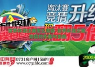 世界杯淘汰赛怎么竞猜-世界杯淘汰赛，竞猜的乐趣与策略