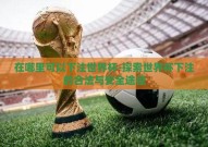 在哪里可以下注世界杯-探索世界杯下注的合法与安全途径