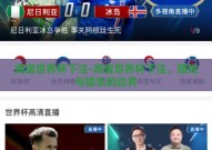 淘宝世界杯下注-淘宝世界杯下注，理性与娱乐的边界