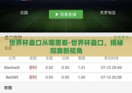 世界杯盘口从哪里看-世界杯盘口，揭秘观赛新视角
