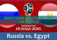 世界杯下注官网-世界杯下注官网，理性与娱乐的交汇点