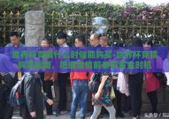世界杯竞猜什么时候能购买-世界杯竞猜购票指南，把握激情前奏的黄金时机