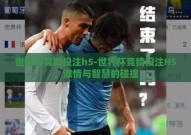 世界杯竞猜投注h5-世界杯竞猜投注H5，激情与智慧的碰撞