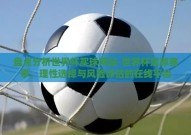 盘点分析世界杯买球网站-世界杯足球赛事，理性选择与风险评估的在线平台