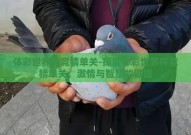 体彩世界杯竞猜单关-探索体彩世界杯竞猜单关，激情与智慧的碰撞