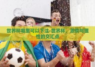 世界杯哪里可以下注-世界杯，激情与理性的交汇点