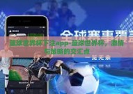 篮球世界杯下注app-篮球世界杯，激情与策略的交汇点