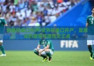 世界杯盘口开户-世界杯盘口开户，足球迷的激情与理性交汇点