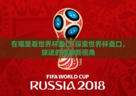 在哪里看世界杯盘口-探索世界杯盘口，球迷的观赛新视角