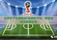 世界杯下注哪里好-世界杯下注，明智选择与策略分析