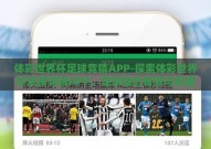 体彩世界杯足球竞猜APP-探索体彩世界杯足球竞猜APP，足球迷的智慧与乐趣新篇章