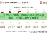 下注平台世界杯-世界杯下注平台的深度剖析，选择与风险并存的决策