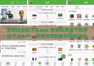 世界杯手机下注app-世界杯热潮下的手机下注APP，便捷与风险并存的新体验