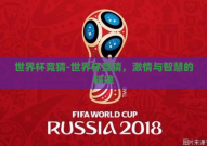 世界杯竞猜-世界杯竞猜，激情与智慧的碰撞
