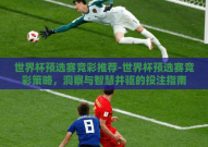 世界杯预选赛竞彩推荐-世界杯预选赛竞彩策略，洞察与智慧并驱的投注指南