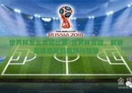 世界杯怎么竞猜比赛-世界杯竞猜，解锁足球盛宴的趣味与智慧