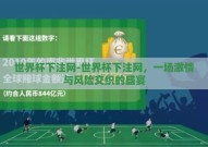 世界杯下注网-世界杯下注网，一场激情与风险交织的盛宴