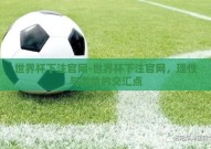 世界杯下注官网-世界杯下注官网，理性与激情的交汇点