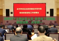 世界杯下注网站怎么开-世界杯下注网站创建指南，从零到一