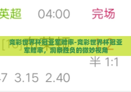 竞彩世界杯冠亚军赔率-竞彩世界杯冠亚军赔率，洞察胜负的微妙视角
