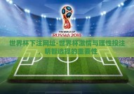 世界杯下注网址-世界杯激情与理性投注，明智选择的重要性