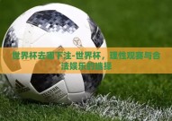 世界杯去哪下注-世界杯，理性观赛与合法娱乐的选择