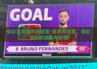 体彩竞彩世界杯冠军-世界杯冠军，体彩竞彩的激情与梦想
