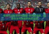 在哪可以买世界杯竞猜-世界杯竞猜，探索合法与便捷的购买渠道