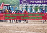 日本赛马世界杯哪里玩-探索日本赛马世界杯的魅力，一场速度与激情的盛宴