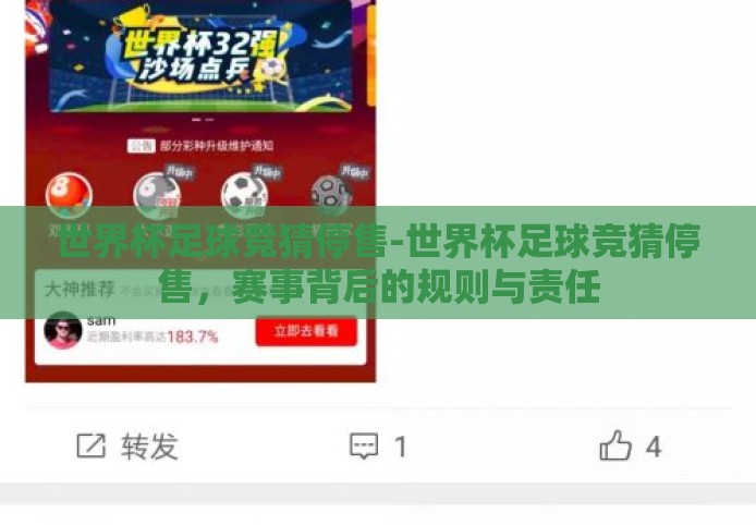 世界杯足球竞猜停售-世界杯足球竞猜停售，赛事背后的规则与责任