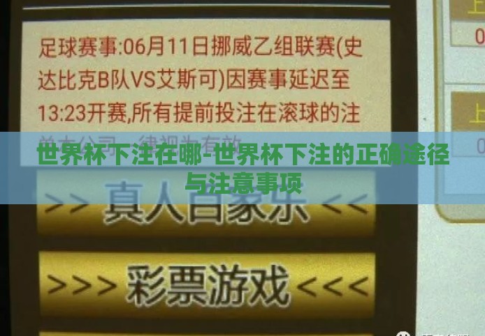 世界杯下注在哪-世界杯下注的正确途径与注意事项 世界杯下注在哪-世界杯下注的正确途径与注意事项