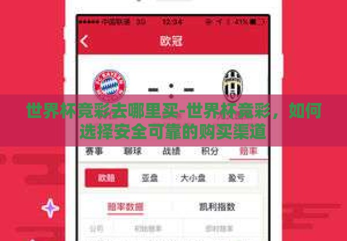 世界杯竞彩去哪里买-世界杯竞彩，如何选择安全可靠的购买渠道