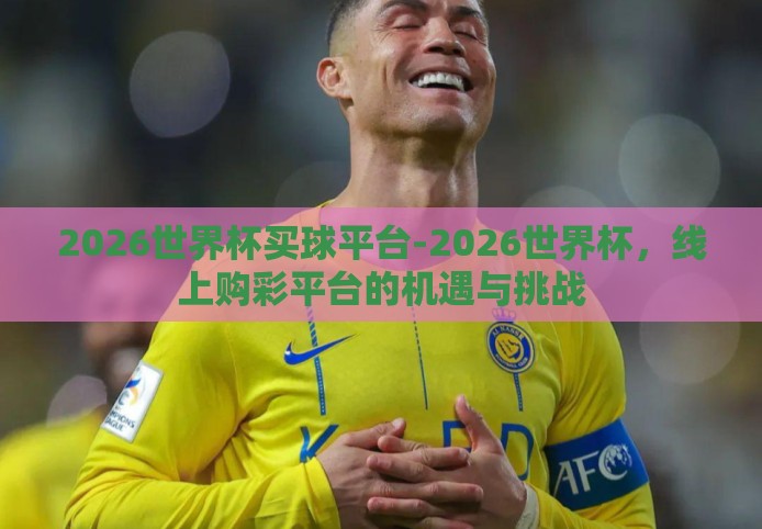 2026世界杯买球平台-2026世界杯，线上购彩平台的机遇与挑战