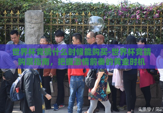 世界杯竞猜什么时候能购买-世界杯竞猜购票指南，把握激情前奏的黄金时机