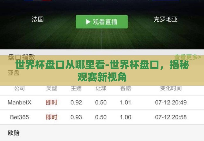 世界杯盘口从哪里看-世界杯盘口，揭秘观赛新视角