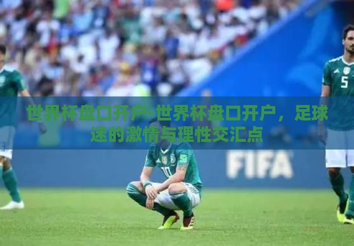 世界杯盘口开户-世界杯盘口开户，足球迷的激情与理性交汇点