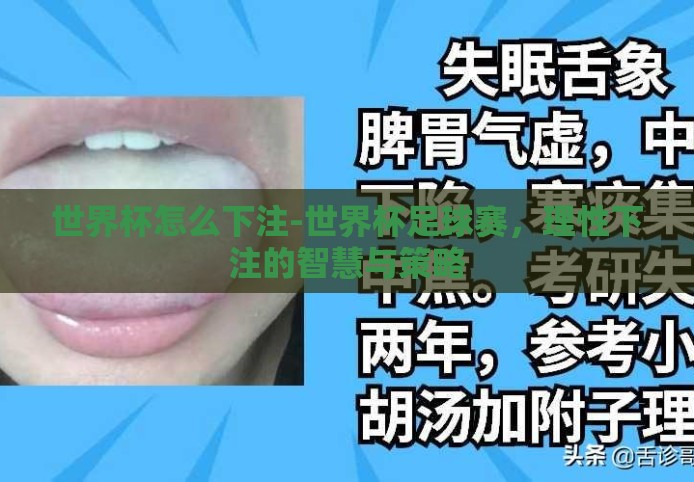 世界杯怎么下注-世界杯足球赛,理性下注的智慧与策略 世界杯怎么下注-世界杯足球赛,理性下注的智慧与策略